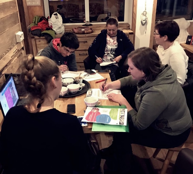 Pilotni preizkus odprtih virov izobraževanja – mentorji/učitelji/mladinski delavci (projekt HOME)